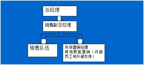 王义聊营销第48讲 营销组织的设计与管理在安全咨询服务领域的应用